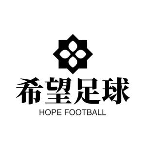 希望Football头像