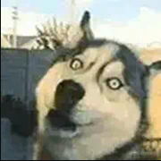 这个我会的个人资料头像