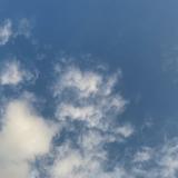 世伟550头像