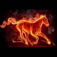 大林189910836头像