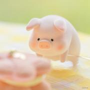 兰溪暮雨的个人资料头像