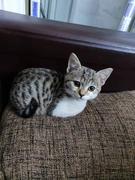 勿忘草i的个人资料头像