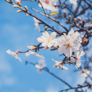 玄霄执志的个人资料头像