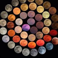 用户7253558186780头像