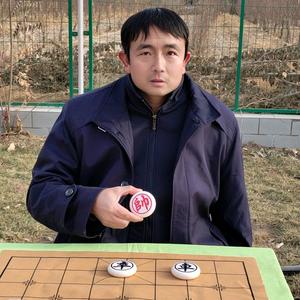 龙飞象棋头像