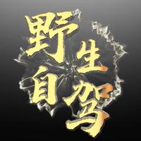 野生自驾头像