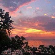 前端的小小菜鸟的个人资料头像