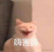 今天你也开心嘛的个人资料头像