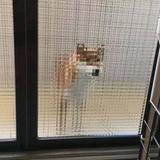 用户6426038871472头像