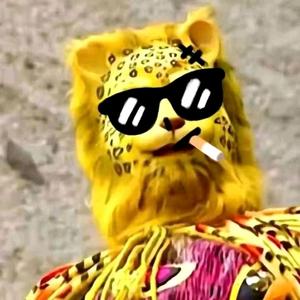 金钱豹℘头像