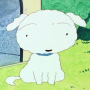 mojie321的个人资料头像