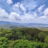 一往无前糯米RyM头像