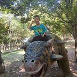萌彤萱言头像