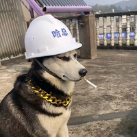 淡定海浪ZW头像