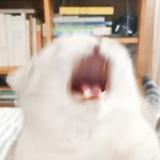 六零七331头像
