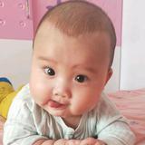 二蛋哥头像