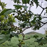 从前那个少年471头像