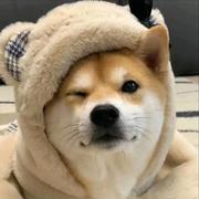 QW的个人资料头像