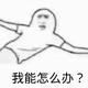 A杨坚强535头像