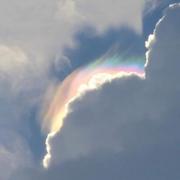 Explorer_的个人资料头像