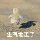 Y先生的个人资料头像