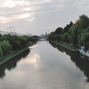 静待花开261的个人资料头像