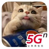ly38990头像