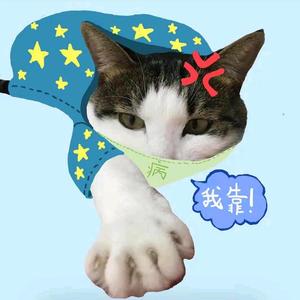 蓝宝的贴身铲屎官头像