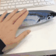 只会item的个人资料头像