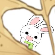 小麦952的个人资料头像