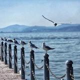 浮华—不染头像