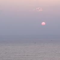沪上秦川头像