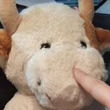 用户9895877658219头像