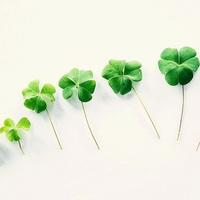 木子李48467头像