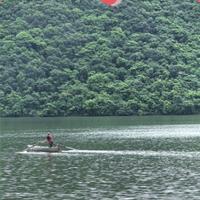 你好海盗船长头像