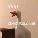 天降哆啦A梦头像