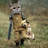 用户6057167808821头像