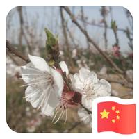 用户1885397174570头像