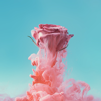 清爽小红花tUXD8头像