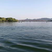 郑州小马二手车头像