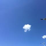 非杨880头像