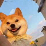 丘比特爱比特头像