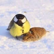 SeVEN的个人资料头像