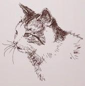 一心净土的个人资料头像