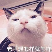 猜不到。头像