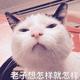 猜不到。头像