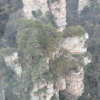 陌影已陌头像