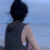 伊维斯丹丹头像