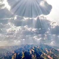 林洋4145头像
