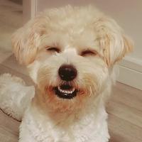 沿江小镇的二狗子头像